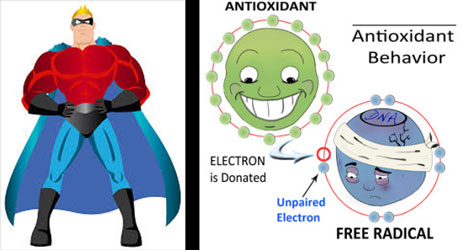 antioksidan superhero