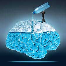 otak terdiri atas air putih