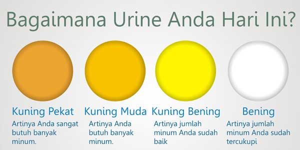 warna urine yang sehat