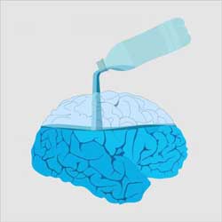 air bagi otak