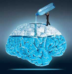 air putih bagi kesehatan otak