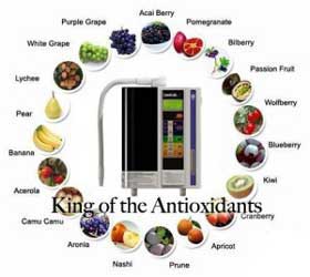 kangen water king of antioxidant