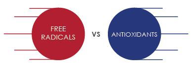 antioksidan vs radikal bebas dalam sel