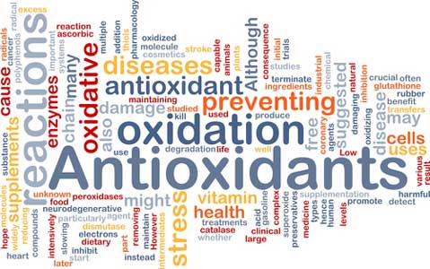 oksidan dan antioksidan
