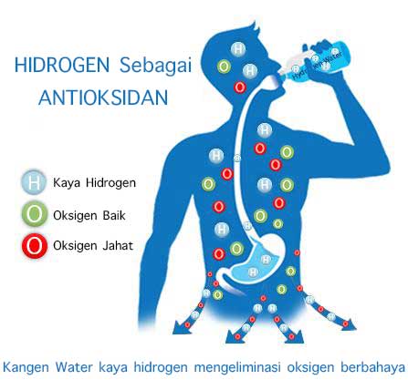 air hidrogen kangen water