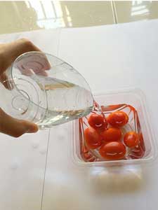 tomat cherry kangen water 3