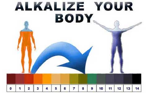 tubuh alkali