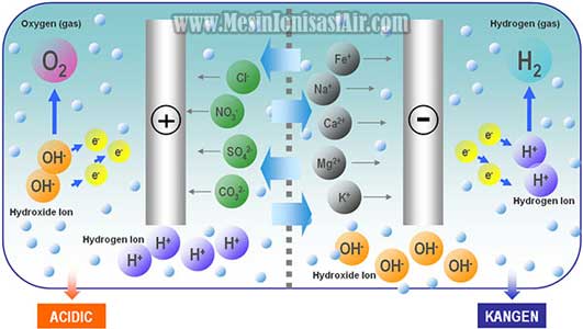 cara kerja proses elektrolisis mesin kangen water
