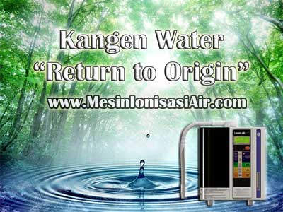 kangen water return to origin