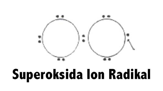 superoksida dan ion radikal