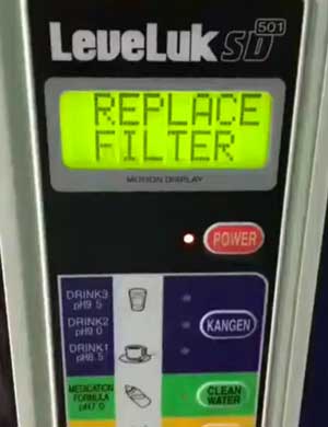 replace filter kangen water