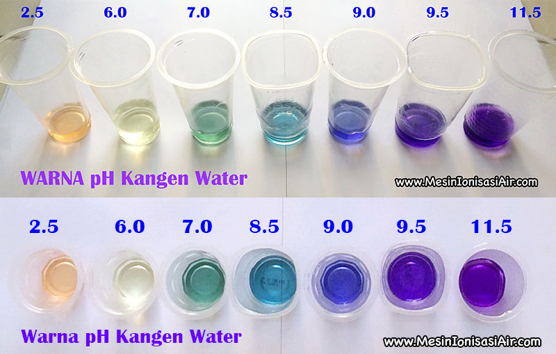 warna ph kangen water